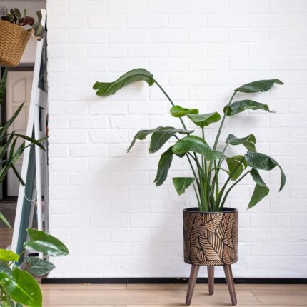 Bronze Grey Planter with Wood Stand