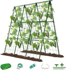 Watering & Plant Support
