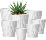 Plant Pots with Trays