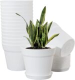 Plastic Plant Pots with Drainage and Matching Trays