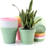 Plastic Plant Pots with Drainage and Matching Trays
