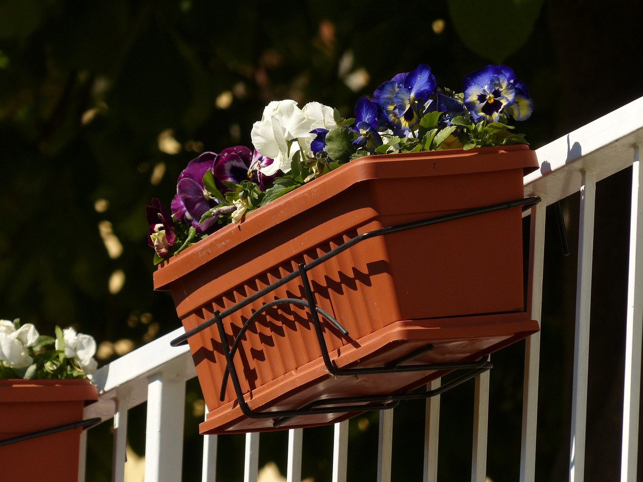 What a railing planter needs